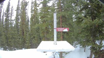 Crested Butte: Snow stake (skicb.com)