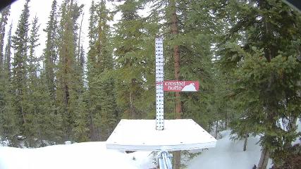 Crested Butte: Snow stake (skicb.com)