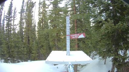 Crested Butte: Snow stake (skicb.com)