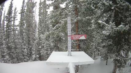 Crested Butte: Snow stake (skicb.com)