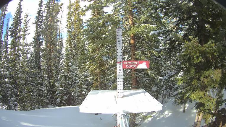 Webcam Crested Butte: Snow stake