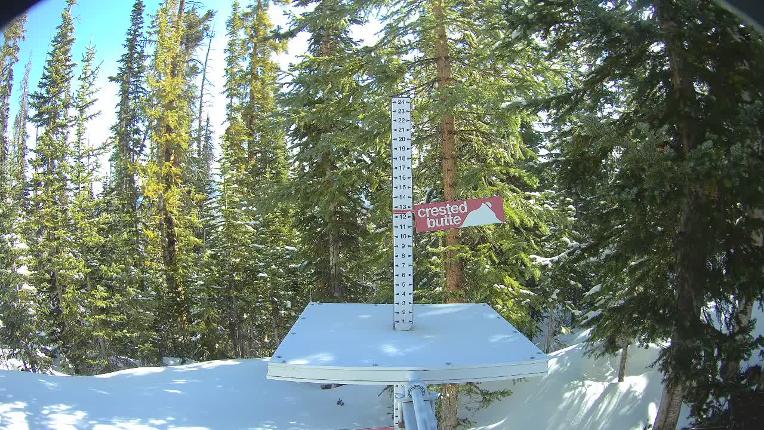 Webcam Crested Butte: Snow stake
