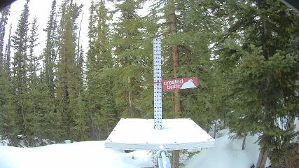 Crested Butte: Snow stake (skicb.com)