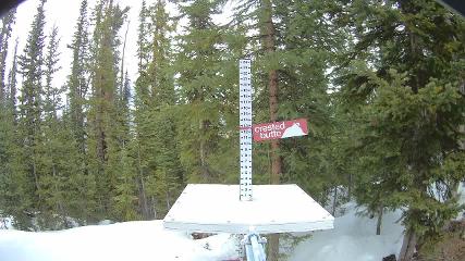 Crested Butte: Snow stake (skicb.com)