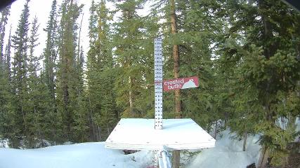 Crested Butte: Snow stake (skicb.com)