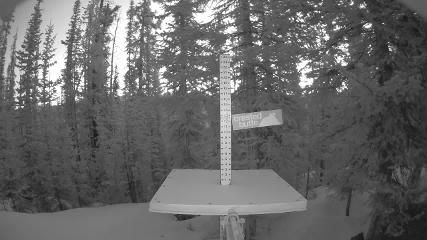 Crested Butte: Snow stake (skicb.com)