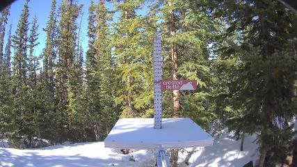 Crested Butte: Snow stake (skicb.com)