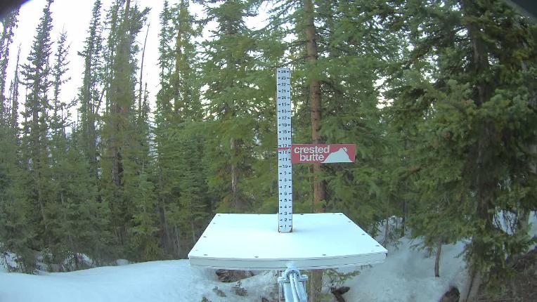 Webcam Crested Butte: Snow stake
