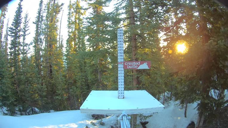 Webcam Crested Butte: Snow stake