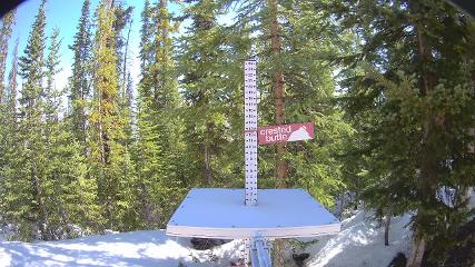 Crested Butte: Snow stake (skicb.com)