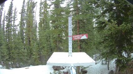 Crested Butte: Snow stake (skicb.com)