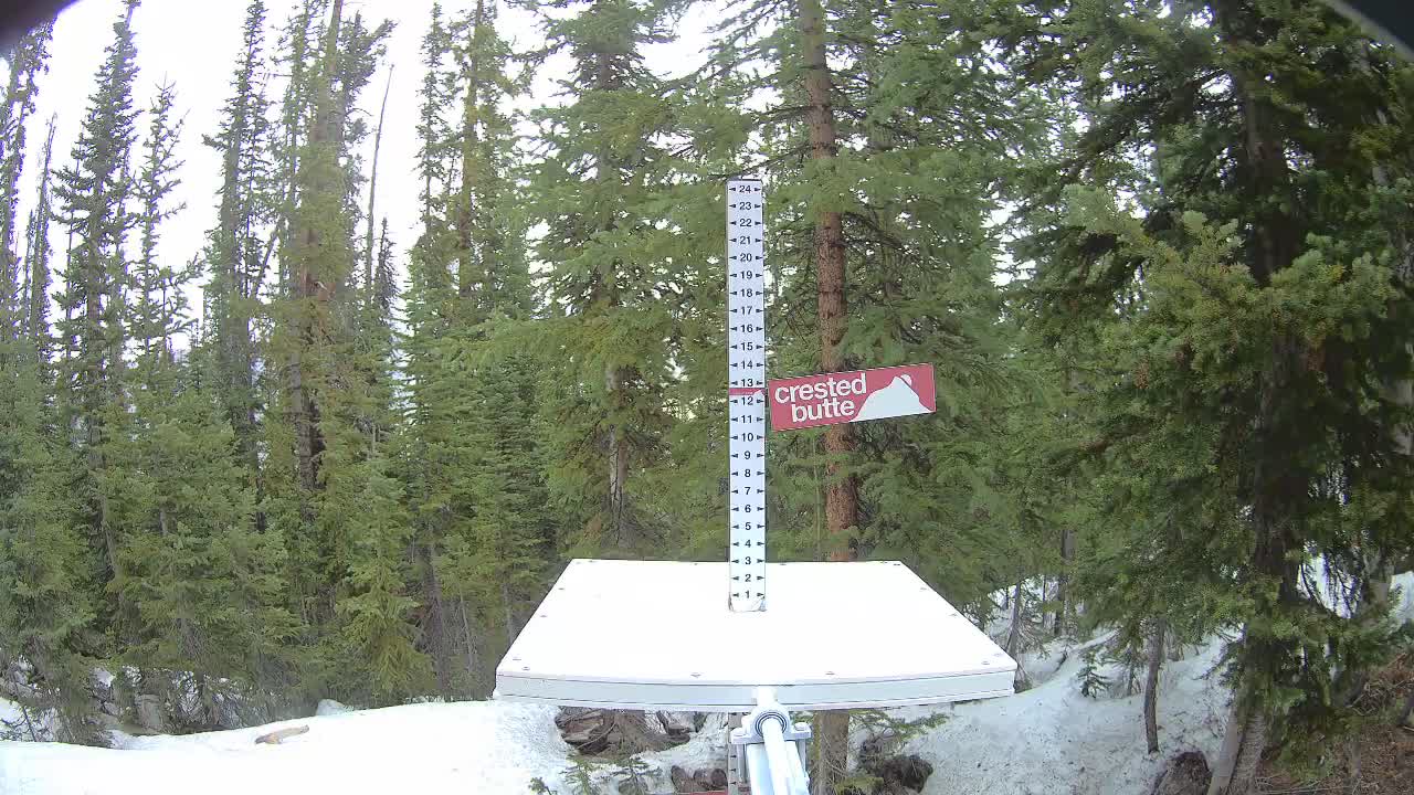 Webcam Crested Butte: Snow stake