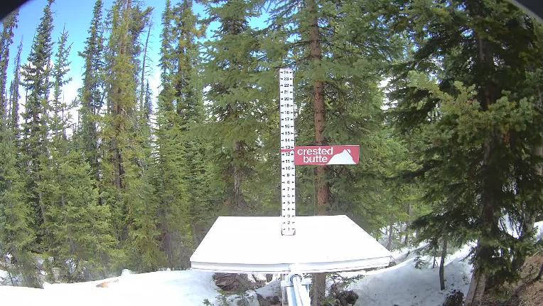 Webcam Crested Butte: Snow stake