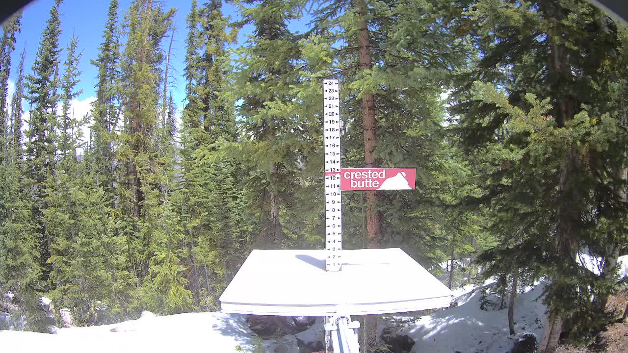 Webcam Crested Butte: Snow stake