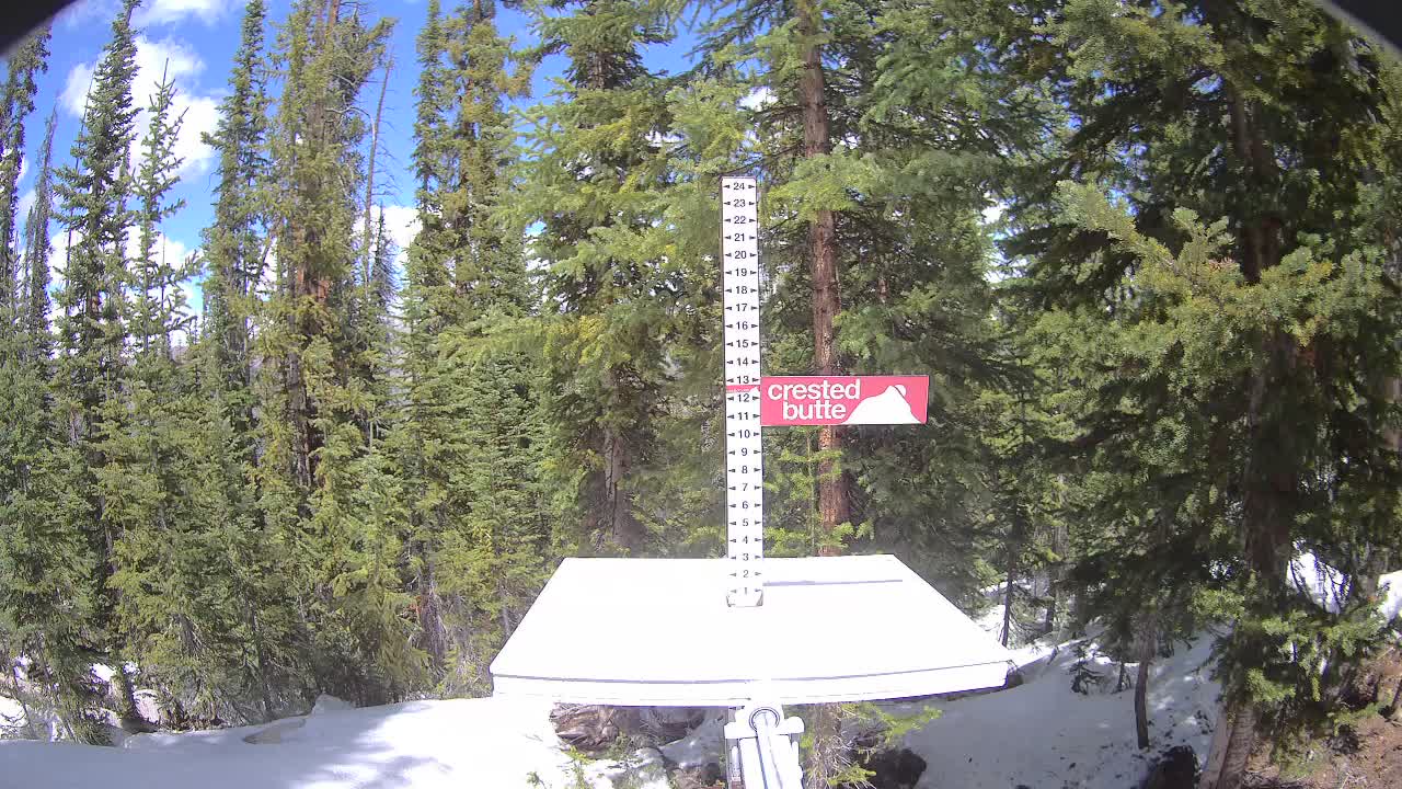 Webcam Crested Butte: Snow stake
