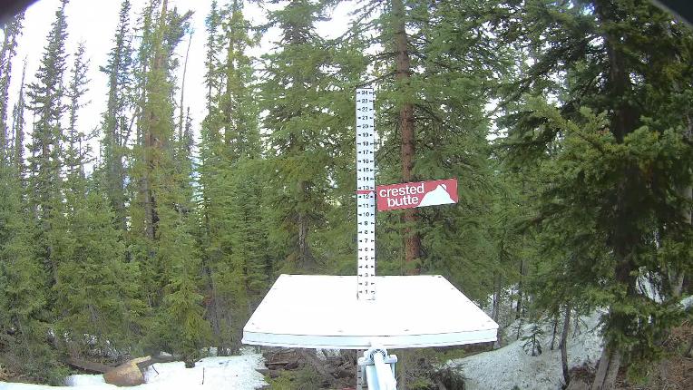 Webcam Crested Butte: Snow stake