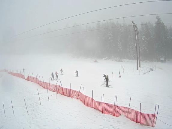 Webcam Cypress Mountain: Cypress Hollyburn