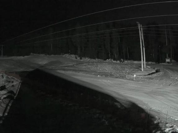 Webcam Cypress Mountain: Cypress Hollyburn