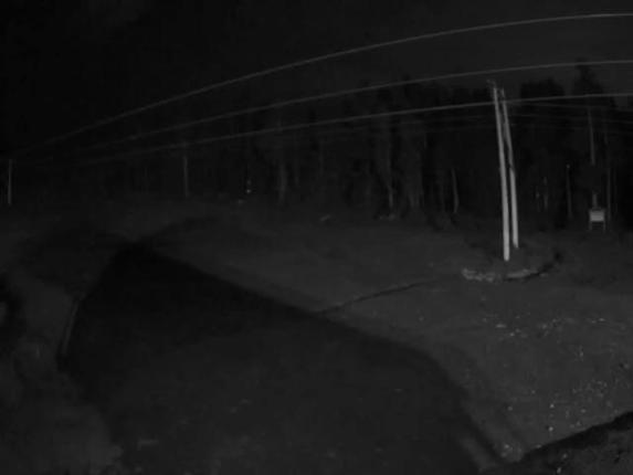 Webcam Cypress Mountain: Cypress Hollyburn