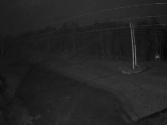 Webcam Cypress Mountain: Cypress Hollyburn