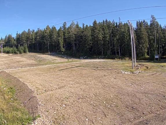 Webcam Cypress Mountain: Cypress Hollyburn