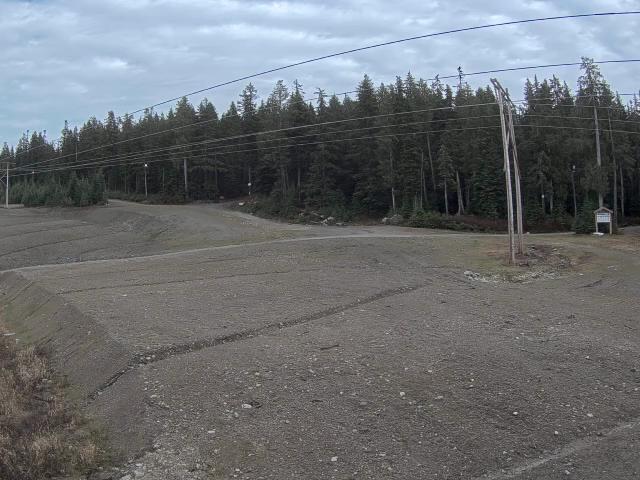 Webcam Cypress Mountain: Cypress Hollyburn