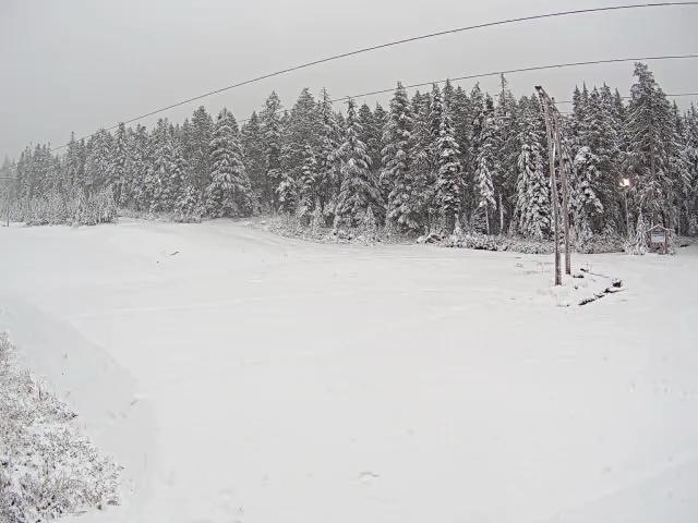 Webcam Cypress Mountain: Cypress Hollyburn