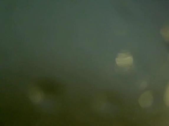 Webcam Cypress Mountain: Cypress Hollyburn