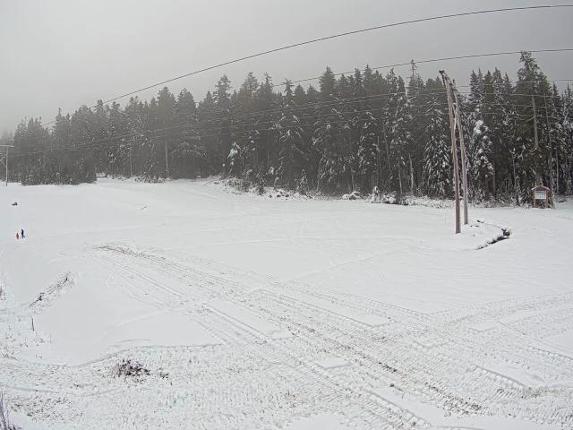 Webcam Cypress Mountain: Cypress Hollyburn