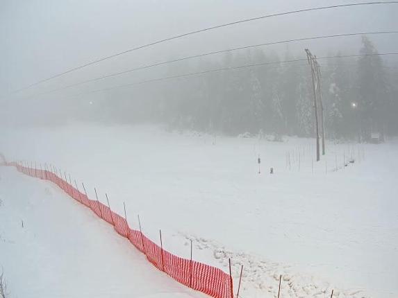 Webcam Cypress Mountain: Cypress Hollyburn