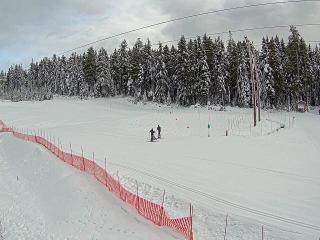 Cypress Mountain: Cypress Hollyburn (cypressmountain.com)