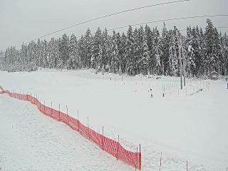 Cypress Mountain: Cypress Hollyburn (cypressmountain.com)