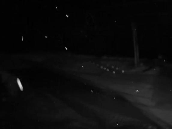 Webcam Cypress Mountain: Cypress Hollyburn