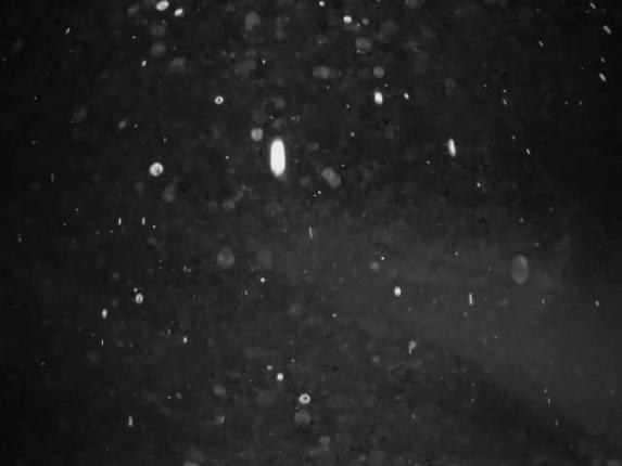 Webcam Cypress Mountain: Cypress Hollyburn