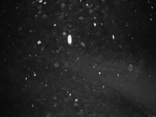 Webcam Cypress Mountain: Cypress Hollyburn