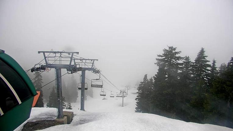 Webcam Cypress Mountain: Lions
