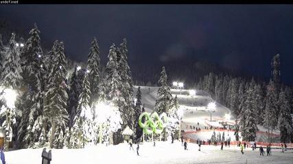 Cypress Mountain: Olympic Plaza (cypressmountain.com)