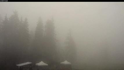 Cypress Mountain: Olympic Plaza (cypressmountain.com)