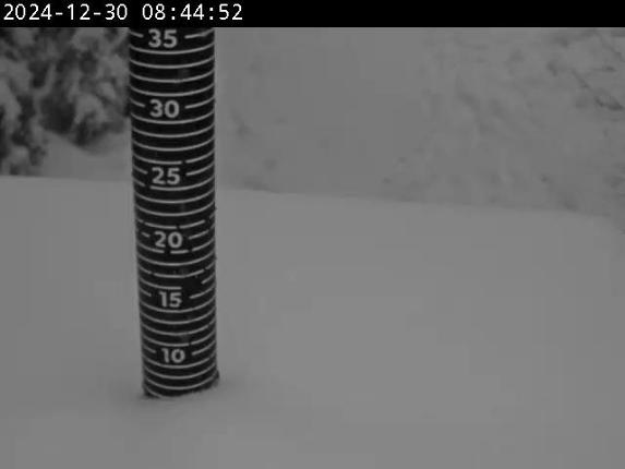 Webcam Cypress Mountain: Snow Stake