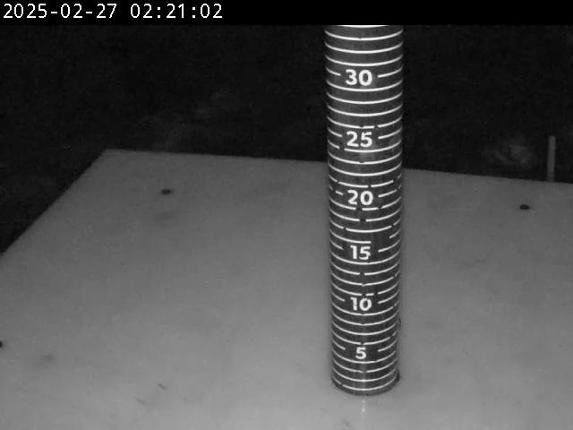 Webcam Cypress Mountain: Snow Stake