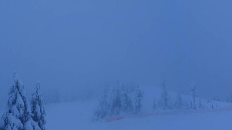 Webcam Cypress Mountain: Top of Ski Chair