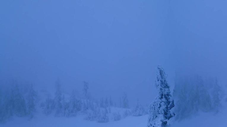 Webcam Cypress Mountain: Top of Ski Chair