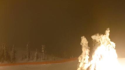 Cypress Mountain: Top of Ski Chair (cypressmountain.com)