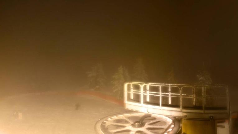 Webcam Cypress Mountain: Top of Ski Chair
