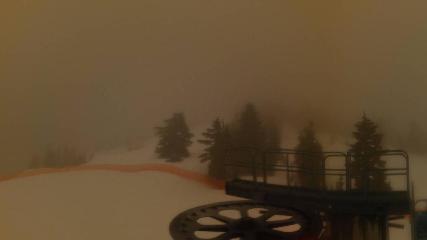 Cypress Mountain: Top of Ski Chair (cypressmountain.com)