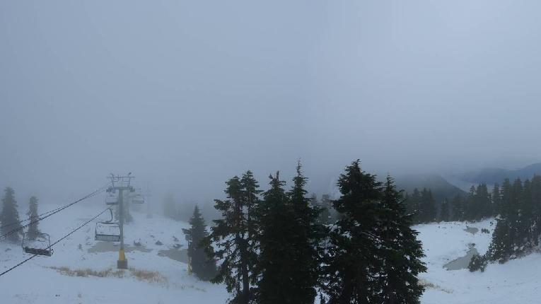 Webcam Cypress Mountain: Top of Ski Chair