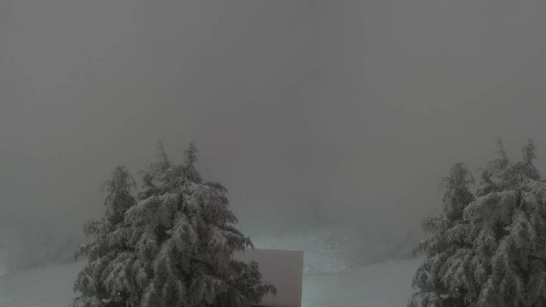 Webcam Cypress Mountain: Top of Ski Chair