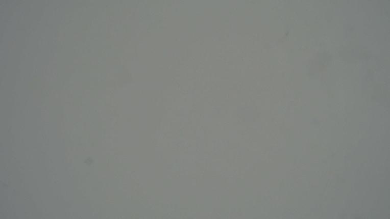 Webcam Davos Jakobshorn: Blick Brämabüel