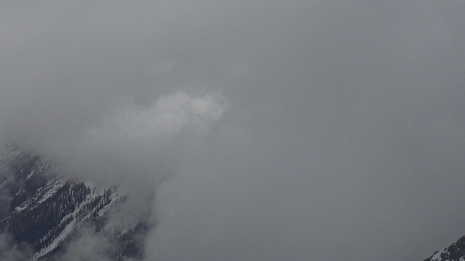 Webcam Davos Parsenn: Blick dorftäli