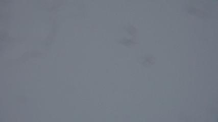 Davos Parsenn: Blick gotschna (davos.ch)